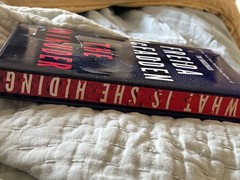 The Intruder An Unputdownable – GOOD
