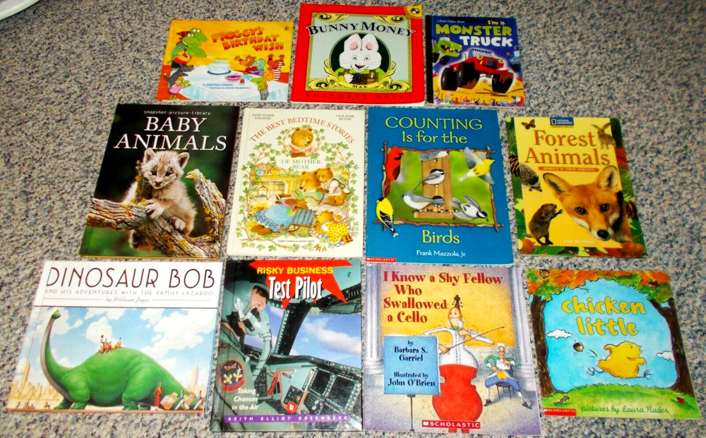 Wonderful Lot of 11 Pre-owned Children’s Books – Mixed Reading Levels (Lot N)
