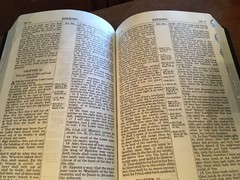 Leather KJV Old Scofield Study Bible 1917 notes Red letter Thumb-Indexed