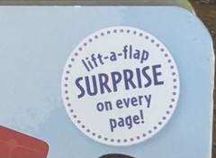 I Am Confident Respectful Caring Empowered Lift Flap Board Book Set Young Reader