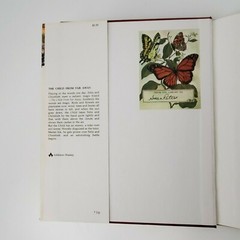 E.T.A. Hoffman The Child From Far Away Children’s Picture Book 1st Edition Vtg