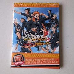 Haikyu!! Connect The View from the Top Quick Strategy Guide 2014 First Edition P
