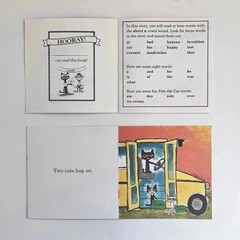 Pete the Cat I Can Read Phonics Kids Decodable Books Lot 12