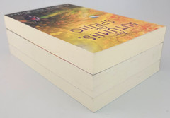 Dragonfly Trilogy Elizabeth Ann Boyles 1-3 Complete Book Set Historical Fiction