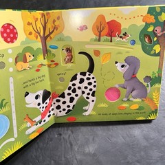 4 Kids Interactive & Sound Books Usborne Tiger Tales Farm Pets Trucks Dinos