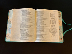 Inspire Bible NLT: New Living Translation- Aquamarine- Leatherlike- Filament-HC