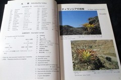 NEW TILLANDSIA HANDBOOK Shimizu-Takizawa 1998 Air Plants Japanese-English SCARCE