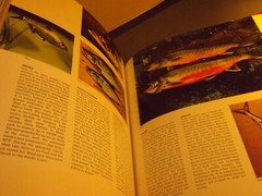 Book: 1973 Hammond Nature Atlas of America 255 pages