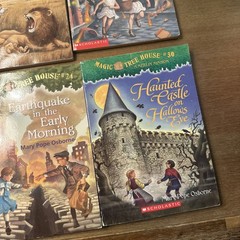 Lot of 12 Magic Treehouse Fact Tracker Non-Fiction Book Historical Fiction Books