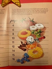 BEtty Crocker’s Continental Casseroles RECIPES. COOKBOOK. 14 PAGES. 8X6 INCHES