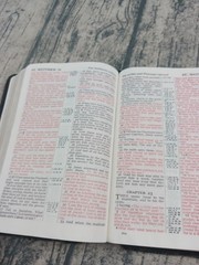 Holy Bible: Authorized King James Version (Zondervan, Concordance, Red) Pre-Own