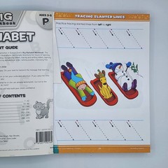 Big Alphabet Workbook Age 3-5 2008 SC (Acceptable) 1st 28 Pages Missing Bargain