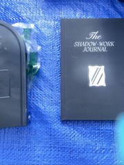 The Shadow Work Journal A Guide to Integrate & Transcend your Shadows Self Help