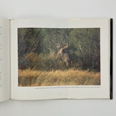 Texas Seasons by Wyman Meinzer and Ray Sasser (1999, Hardback) VGC 175 pages