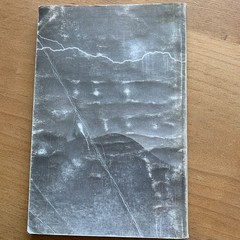 Signed/inscribed Do Not Go Gentle by Michael Hogan