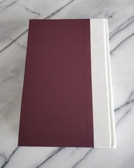 *Signed* BUCKEYE By Patrick Ryan 2025 Hardcover w/ DJ 1st Edition, 1st Printing