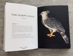Jessica Roux Ornithography Illustrated Guide to Bird Lore & Symbolism HC 2024