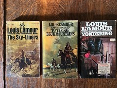 Vintage WESTERN PB Book Lot of 10 L’Amour Rigoni Elston Brand Patten Browne VG++