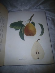THE PEARS OF NEW YORK U.P. Hedrick 80 color plates 1921 First Ed