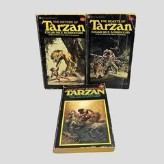 TARZAN Burroughs Ballantine Paperback Book Lot Of 11 1970s Vtg READ