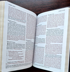ESV Large Print Compact Bible, Red Letter (Buffalo Leather, Deep Brown) NEW