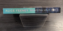 Beautiful Ugly a novel by Alice Feeney Paperback Dark Thriller
