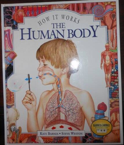 The Human Body (How It Works) – Hardcover By Kate Barnes – VERY GOOD