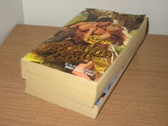 Lawman Laurie Grant Fire Across Texas Susan Tanner Western Romance Laurie Grant