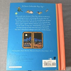 Robert Sabuda Peter Pan Pop-Up Illustrated Novelty Book First Edition 2008