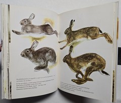 Rien Poortvliet: … und jeder Fuchs hat seinen Bau, Kosmos 2001, HC
