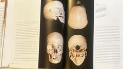 Anatomy for the Artist by Sarah Simblet &John Davis (2001, Hardcover)