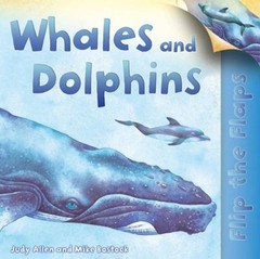 Flip the Flaps: Whales and Dolphins Paperback Judy Allen