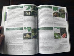 The Forager’s Guide to Wild Foods North American Edition by Nicole Apelian