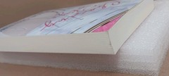 Kelsie Stelting – Chasing Skye, Signed, Bookworm Box Edition, Paperback, READ