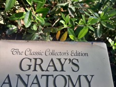 Gray’s Anatomy: The Classic Collector’s Edition~Henry Gray~VINTAGE 1977 HC/DJ