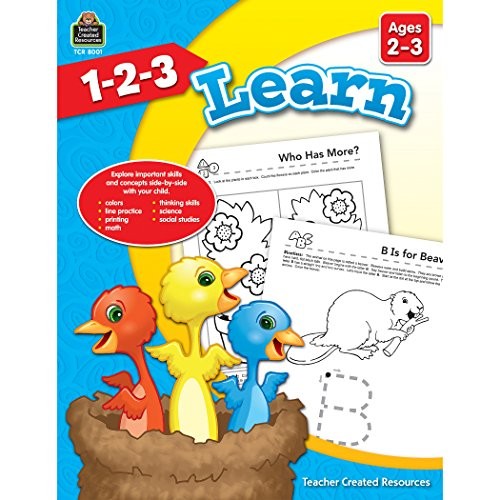 1-2-3 LEARN AGES 2-3: AGES 2-3 By Mara Ellen Guckian *Excellent Condition*