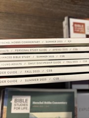 Lot of 23 Lifeway Bible Studies for Life KJV Adults & Explore The Bible 2022-25