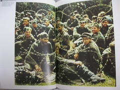 Destruction of Nazi Germany Final Battles World War II Europe History 10 books
