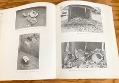 Igbo-Ukwu Account of Archaeological Studies in E. Nigeria Shaw, Vol 1&2, 1970