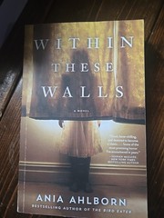 Within These Walls by Ania Ahlborn (2015, Trade Paperback)