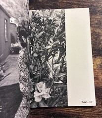Flow Magazine Special Edition Issue „Calm Down” Paperbook in Dutch Language