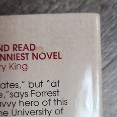 Forrest Gump by Winston Groom Paperback Novel Pocket Books Film/TV Adaptation