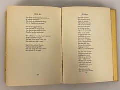Poems by Padraic Colum 1932 The Macmillan Company HC DJ