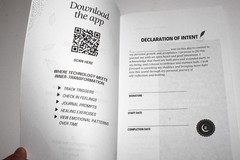 The Shadow Work Journal : a Guide to Integrate & Transcend Your Shadows (2023)