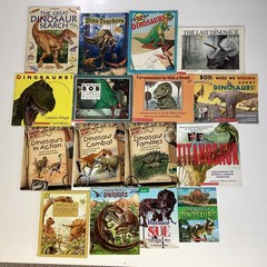 Dinosaur Informational Educational 2nd 3rd 4th Grade 16 Children’s Book Lot