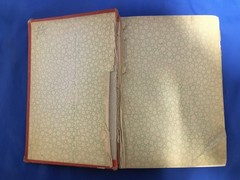 Leaves from – Note Book of a Hypnotist, Incl. the Revelations of a Mahatma 1897