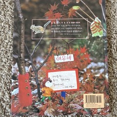 Korean children’s illustrated book