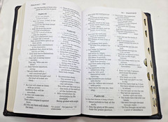 NASB Large Print Calfskin Black Red Letter 1995 Text Thumb Indexed