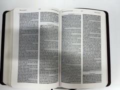 Jack Van Impe Prophecy Bible Special Limited Edition Red Letter KJV