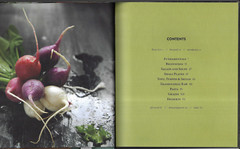 Plum – Gratifying Vegan Dishes From Seattle’s Plum Bistro ; by Makini Howell